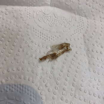 Flame Broiler - Plastic I found in my food. - New American Near Me - Murrieta, California