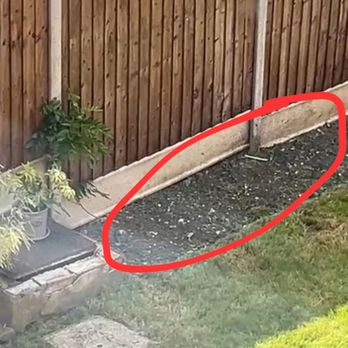 RM&K Gardening - completely empty flower bed after he left - Gardeners Near Me - London, XGL RM&K Gardening - completely empty flower bed after he left - Gardeners Near Me - London, XGL