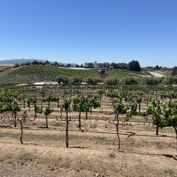 Leal Vineyards - Vineyard - Wineries Near Me - Hollister, California Leal Vineyards - Vineyard - Wineries Near Me - Hollister, California