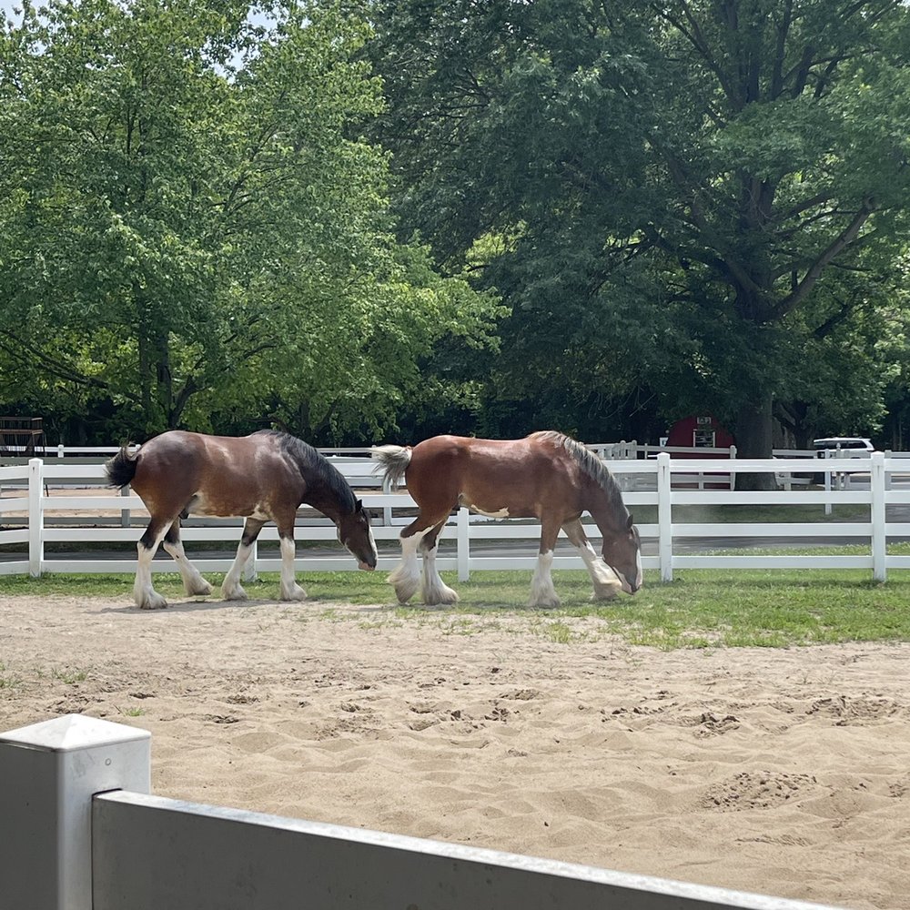 Grant's Farm - Attraction Farms Near Me - St. Louis, Missouri
