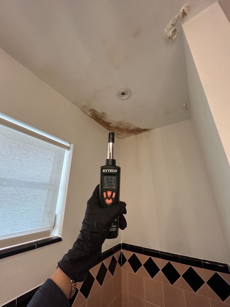 Air Quality Pros - mold inspector in Miami, FL