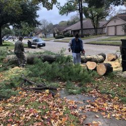 Tree wise men