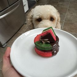 Anna's Bakery - Rainbow pignoli cookie