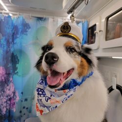 12th Paw Mobile Spa