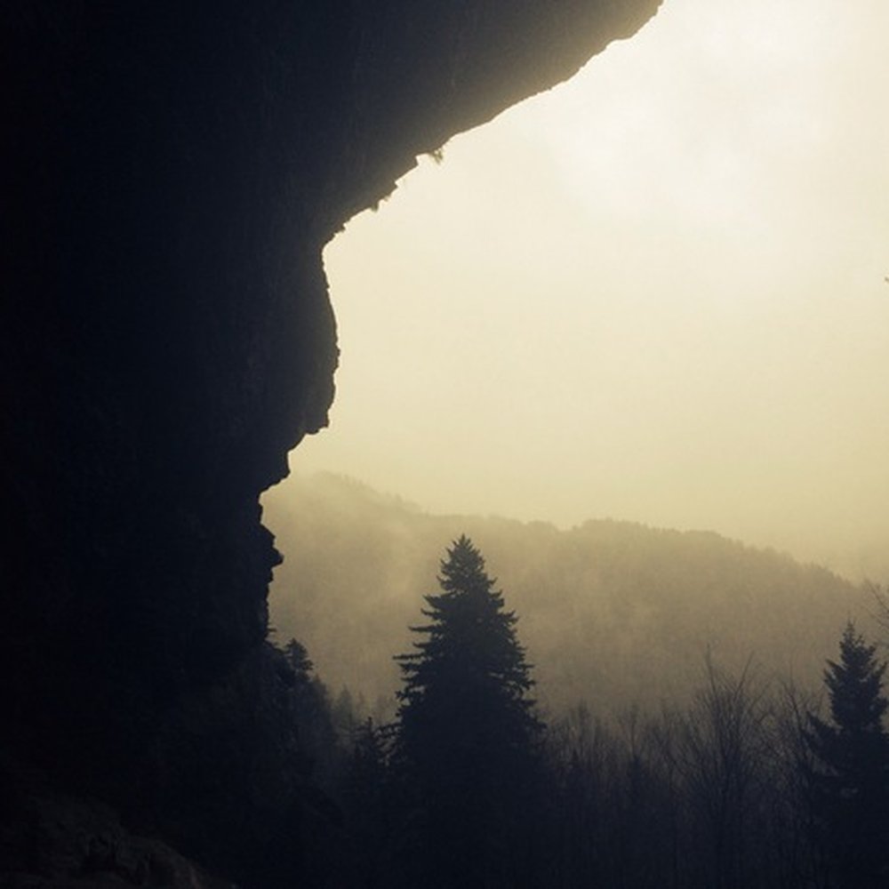 Mount LeConte - After the fog line.  The trees become alpine or coniferous at higher elevations. - Hiking Near Me