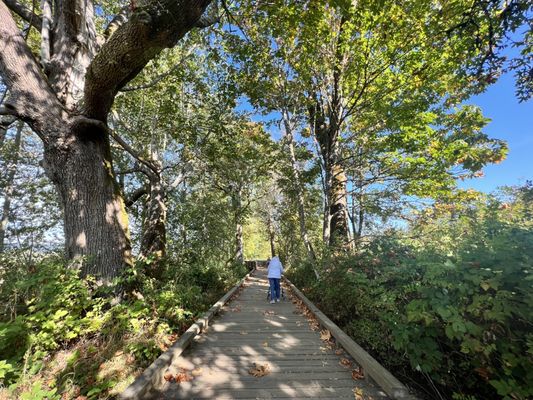 Billy Frank Jr. Nisqually National Wildlife Refuge by null