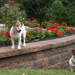 Edwards Landscape & Nursery
