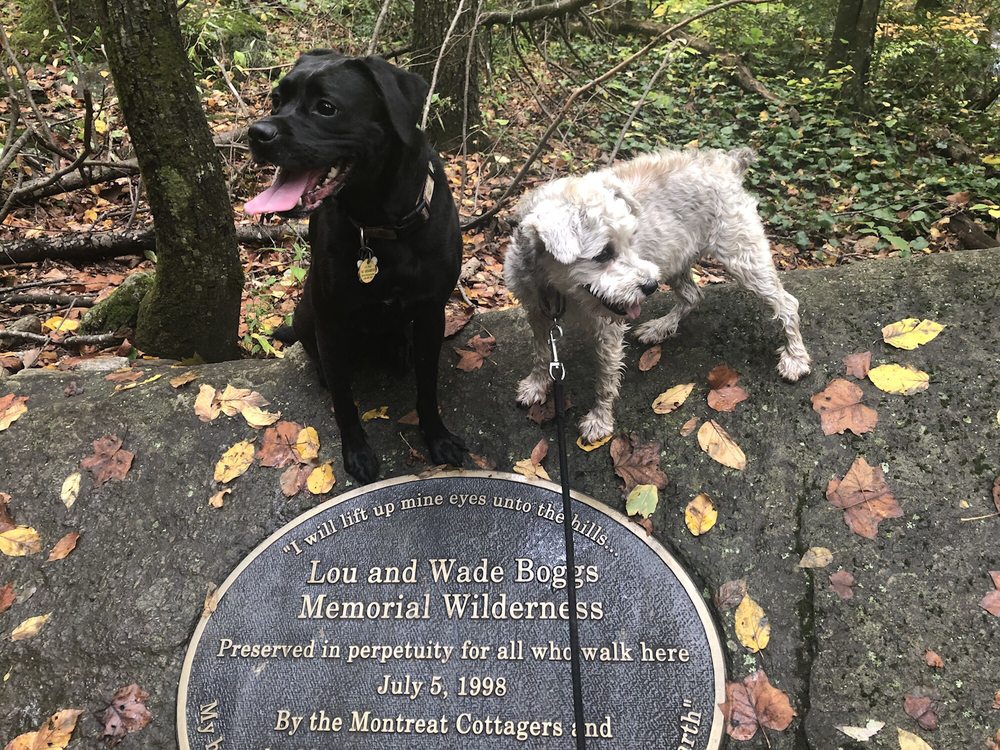 Social spots from Greybeard Trailhead