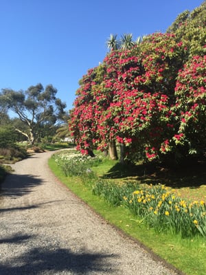 Logan Botanic Garden by null