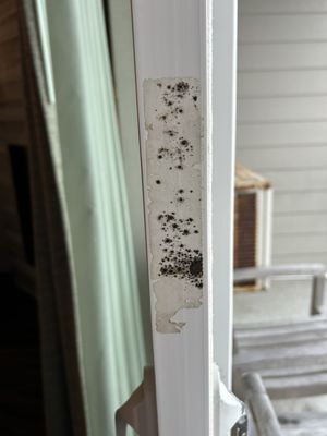 Elizabeth Oceanfront Suites by null