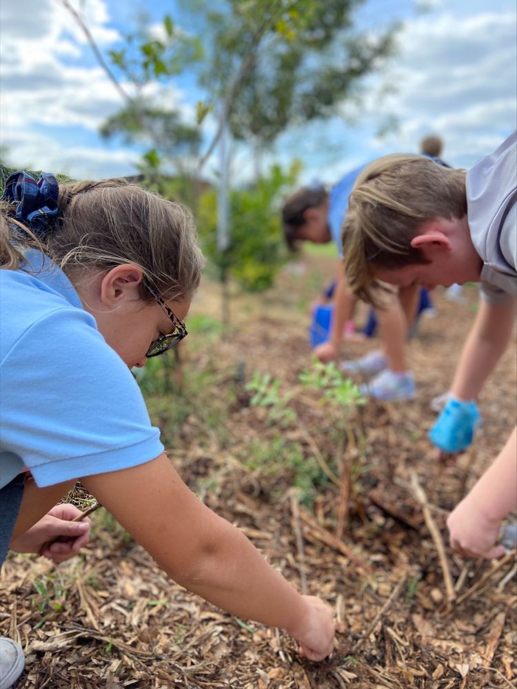 Creation Village World School - childcare center in Celebration, FL
