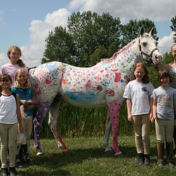 Fields & Fences School of Horsemans - Summer Horse Camp