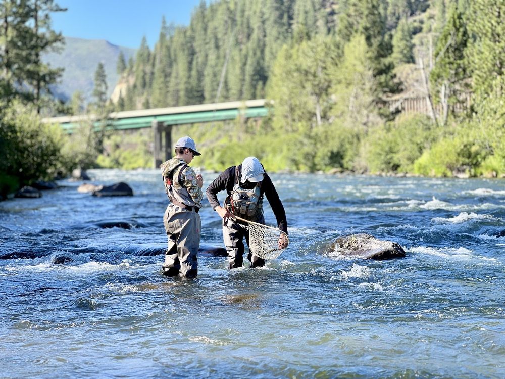 Current Fly Fishing Logo