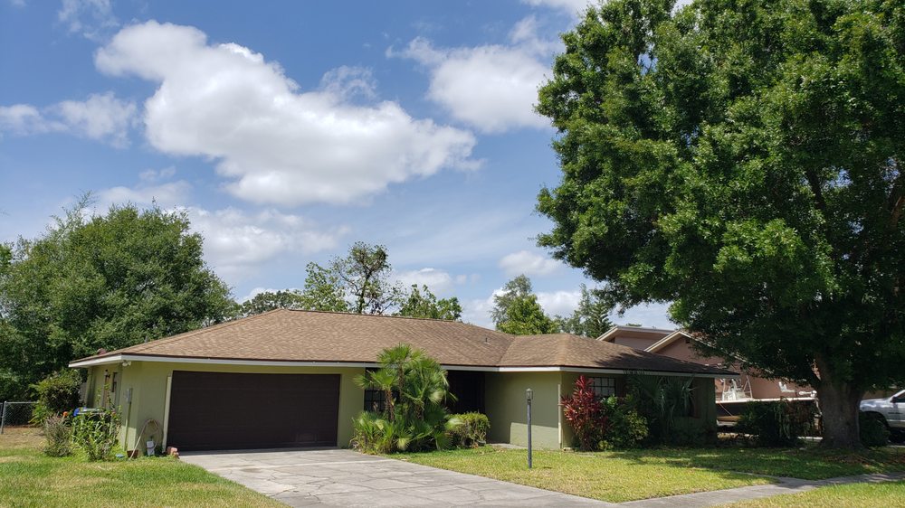 Slide of Bumblebee Construction