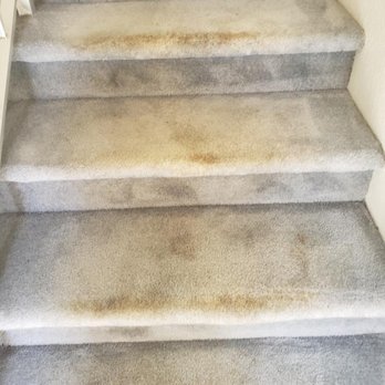 CityWide Carpet Cleaning - After "cleaning" - Carpet Cleaning Near Me CityWide Carpet Cleaning - After "cleaning" - Carpet Cleaning Near Me