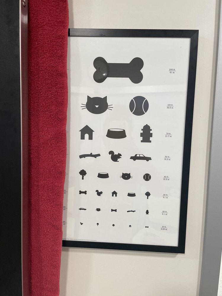 FLETCHER HILLS ANIMAL HOSPITAL Updated October 2024 78 Reviews