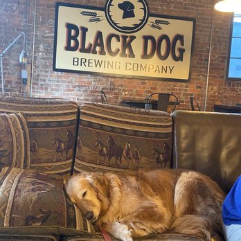 Black Dog Brewing - Dog friendly! - Breweries Near Me - Indianapolis, Indiana Black Dog Brewing - Dog friendly! - Breweries Near Me - Indianapolis, Indiana