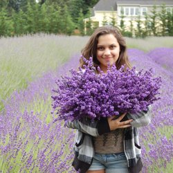 Fleurish Lavender of Lost Mountain