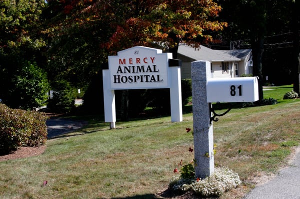 mercy animal hospital hours