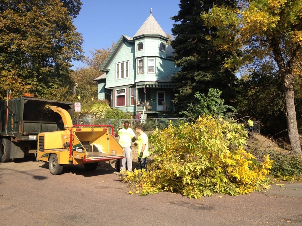 A & A Tree Service - tree service in Sioux Falls, SD