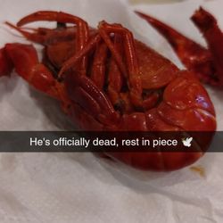 Shogun Buffet Hibachi Grill Giftly Beautiful Gift Card Alternative