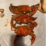 Photo of Captain Dan's Crabhouse