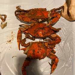 Captain Dan's Crabhouse - No way these are large crabs
