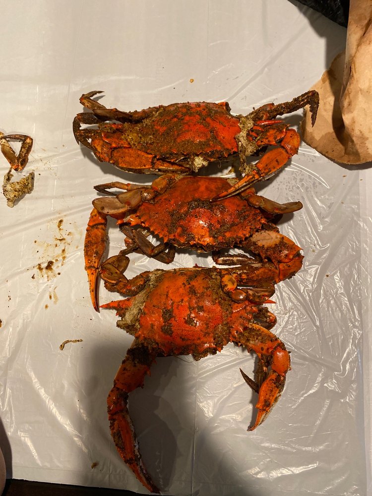 CAPTAIN DAN’S CRABHOUSE Updated October 2024 63 Photos & 111