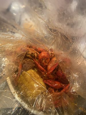 Shaking Crawfish by null