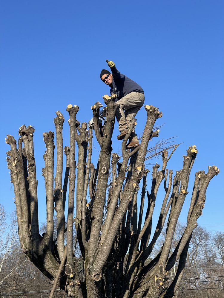 TENNESSEE GROUND GUYS Updated April 2024 Request a Quote 39