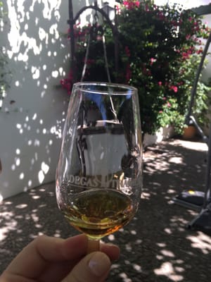 Bodegas Tradicion by null