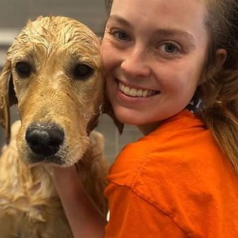 Dogtopia - Geneva - Pet Groomers Near Me - Geneva, Illinois