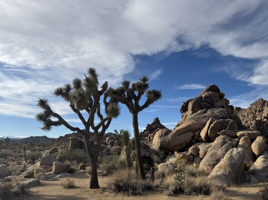 Sheep Pass Campground by null