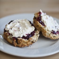 Timbertrove Country Store & Cafe - Homemade Scones