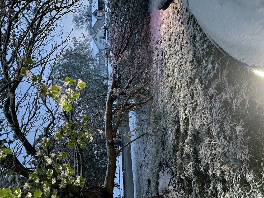 We Care Tree Service - tree service in Warren Park, IN