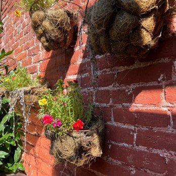Mollys Courtyard Cafe - hanging baskets of flowers - Cafes Near Me - Marietta, Pennsylvania