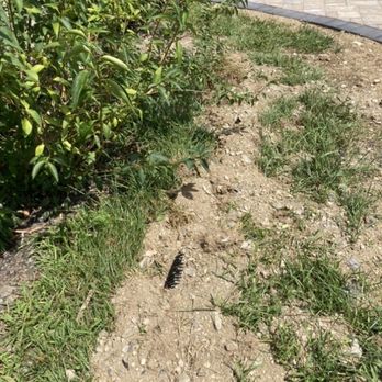 Dougs Landscaping - This shows the pipe on top of the ground not buried this is where it runs uphill before running downhill - Landscape Architects or Designers Near Me - Poultney, Vermont