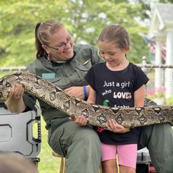Rainforest Reptile Shows