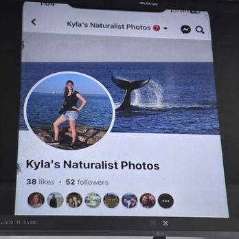 Puget Sound Express - Our narrators FB page - Whale Watching Tours Near Me - Edmonds, Washington Puget Sound Express - Our narrators FB page - Whale Watching Tours Near Me - Edmonds, Washington