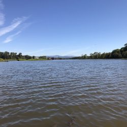 Scappoose Bay Marine Park - The view of Mount St. Helens and lots of birds