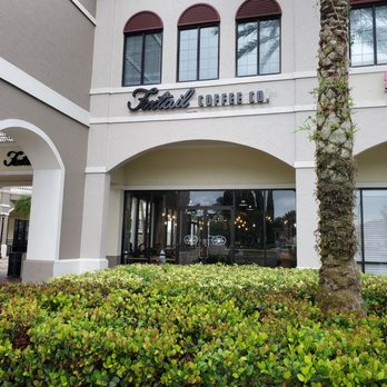 Foxtail Coffee - Coffee & Tea Near Me - Orlando, Florida Foxtail Coffee - Coffee & Tea Near Me - Orlando, Florida