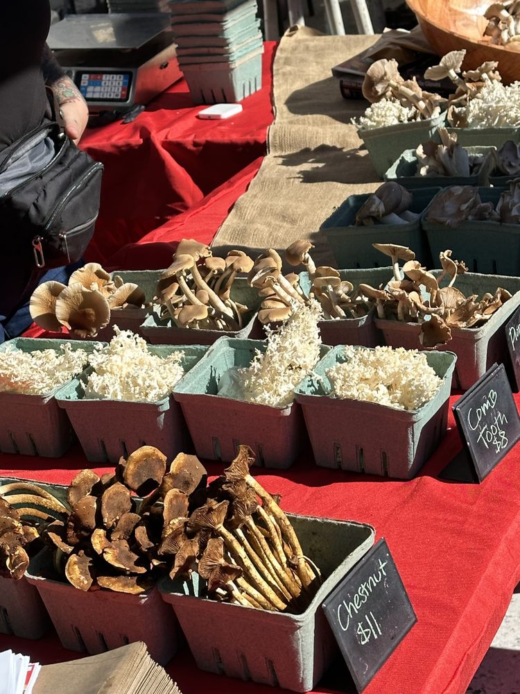 ASHBY FUNGI Berkeley, California Farmers Market Phone Number Yelp