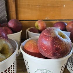 Black's Peaches - Winesaps