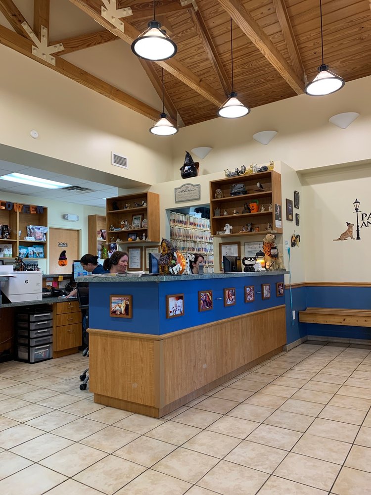 PARK AVENUE ANIMAL HOSPITAL 14 Photos & 36 Reviews 847 N Park Ave