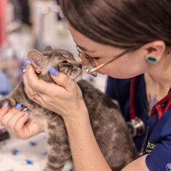 Hill Top Animal Hospital