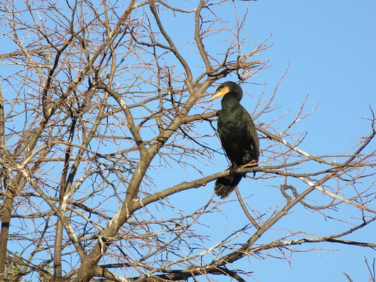 Parc Borély by null