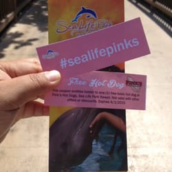 Pink's Hot Dogs - Mention #sealifepinks at the ticket booth and get a coupon for a free naked hot dog or chili dog.