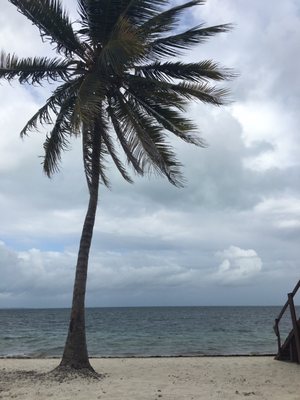 Playa del Niño by null