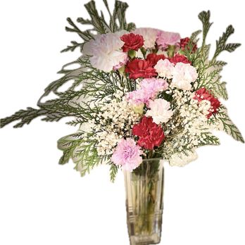 Publix - I bought the flowers from Publix . - Grocery Near Me - Merritt Island, Florida Publix - I bought the flowers from Publix . - Grocery Near Me - Merritt Island, Florida