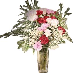 Publix - I bought the flowers from Publix .